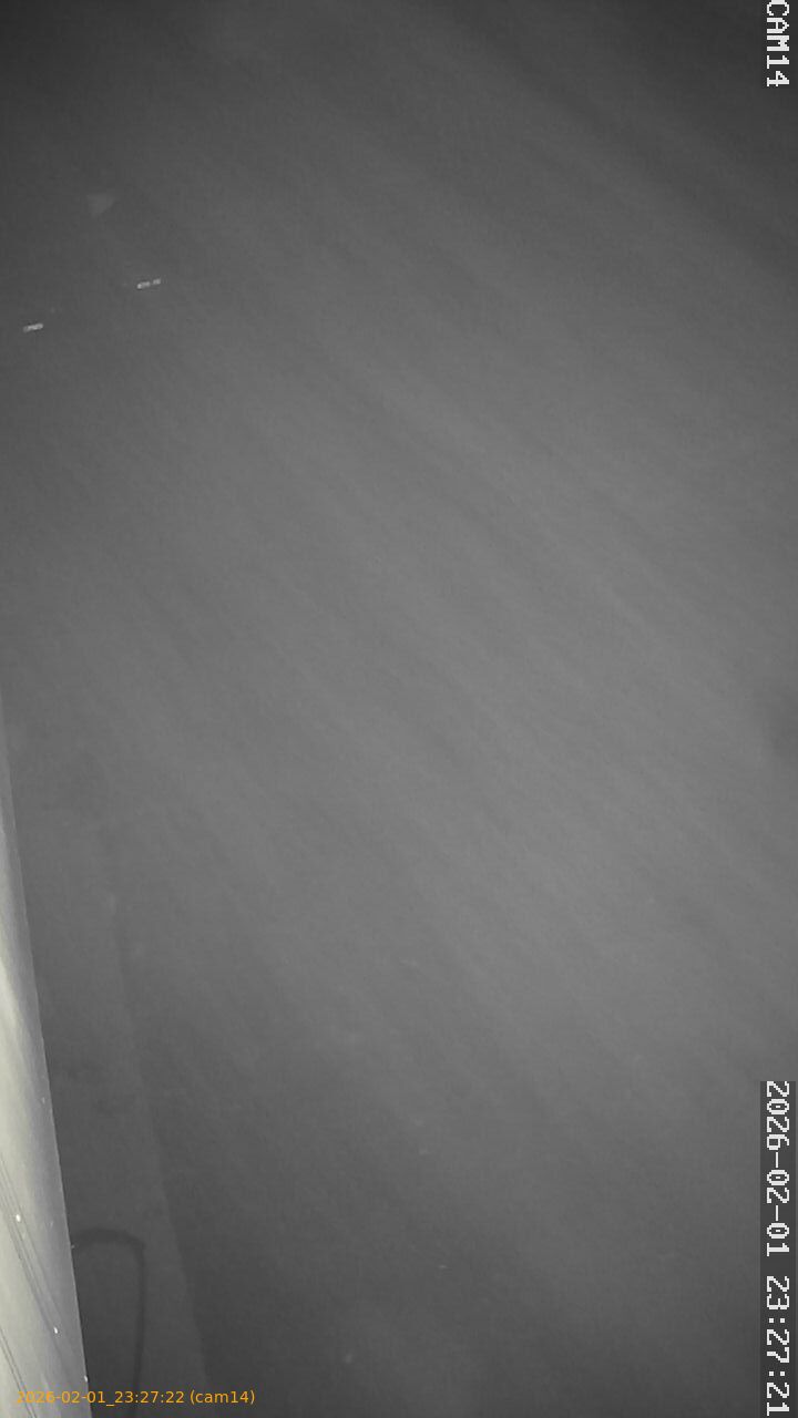 thumbnail_20260201232722