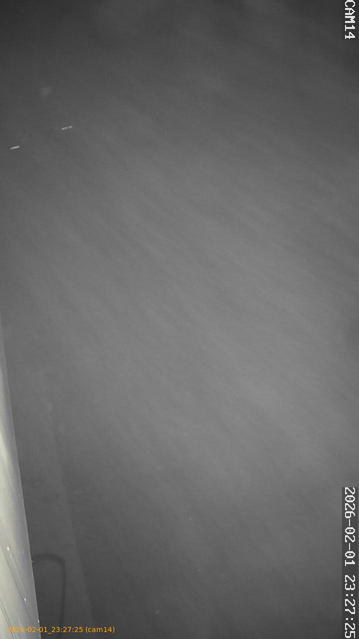 thumbnail_20260201232725