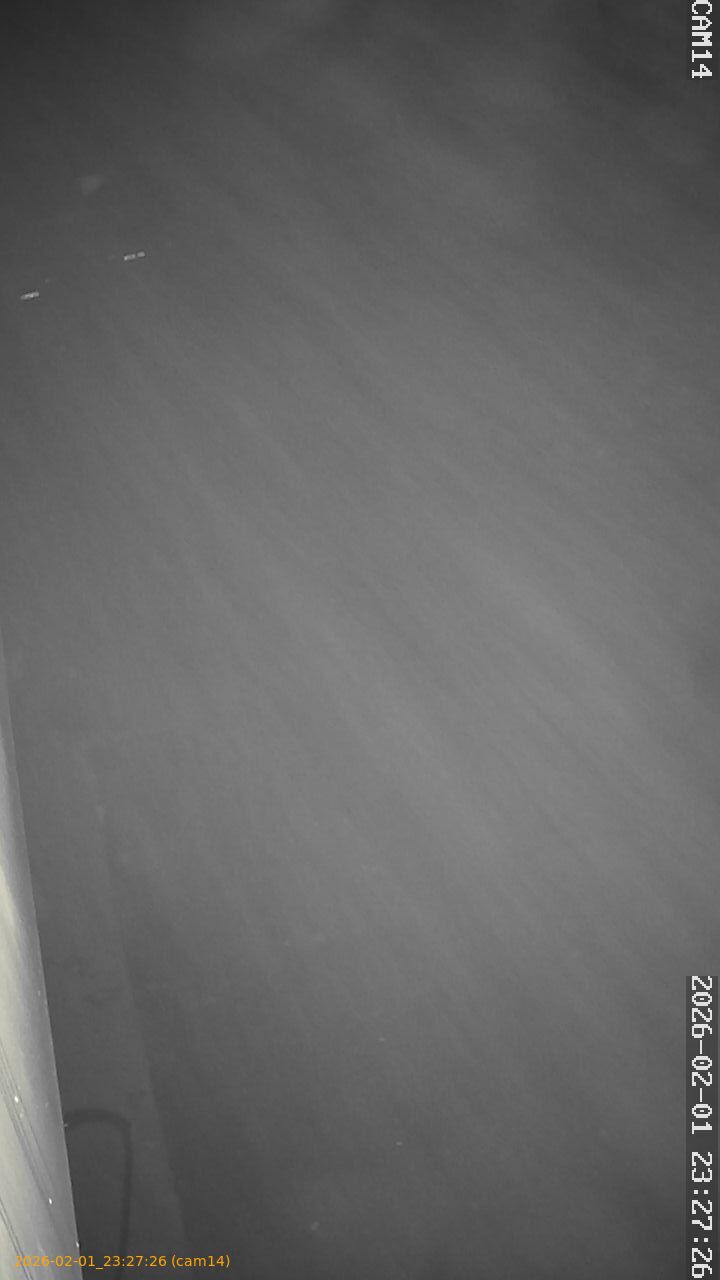 thumbnail_20260201232726