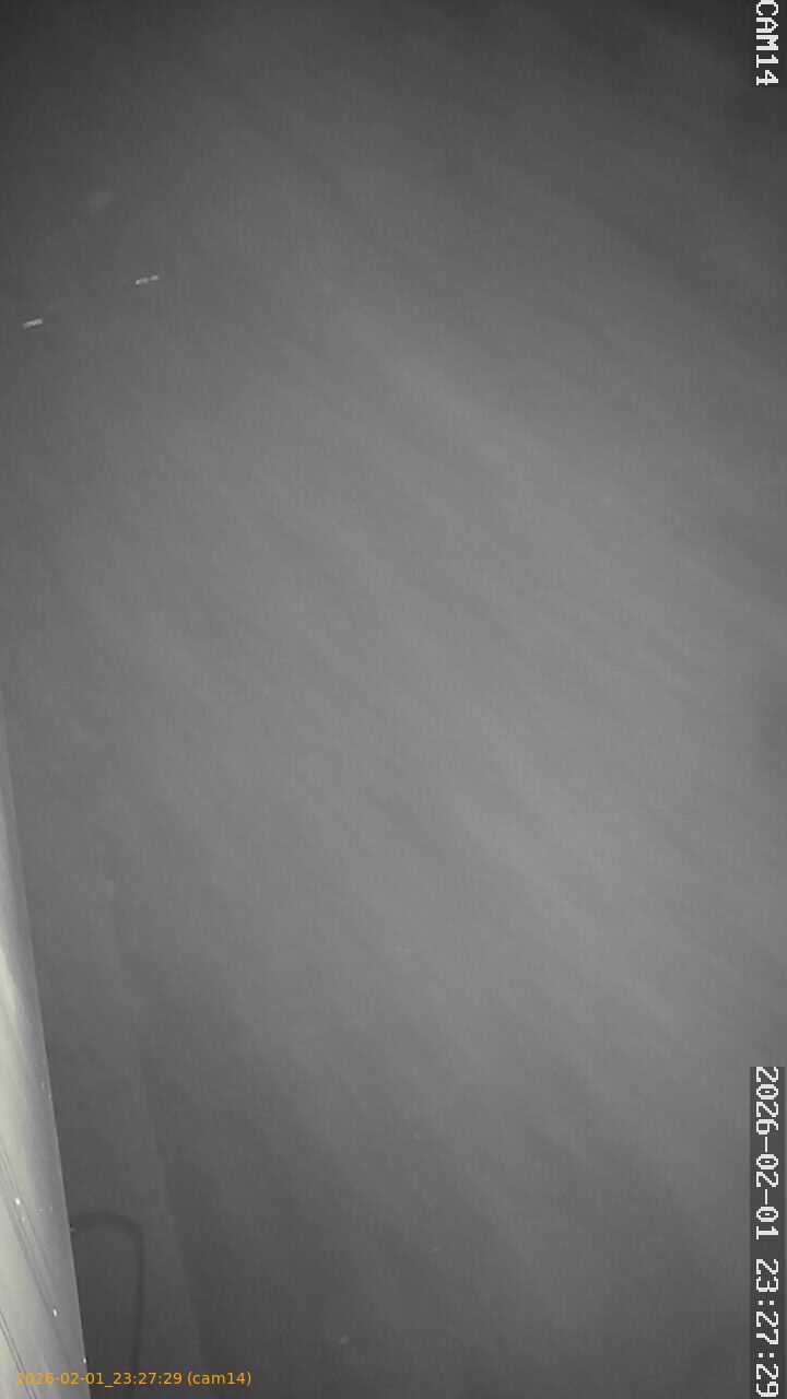 thumbnail_20260201232729