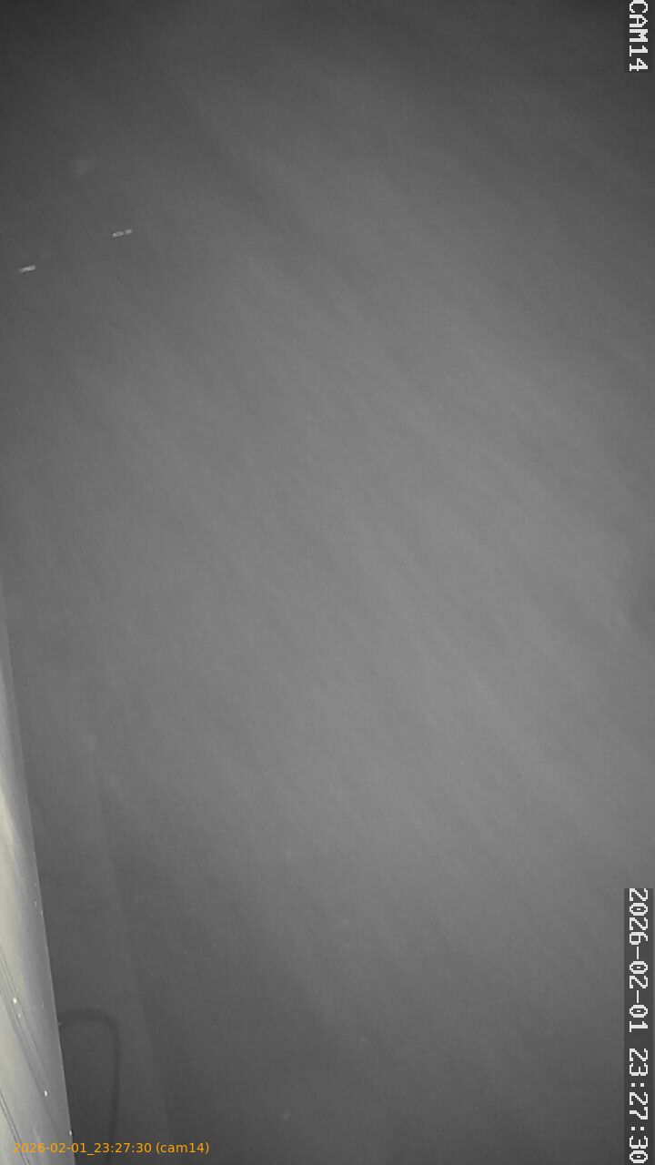 thumbnail_20260201232730