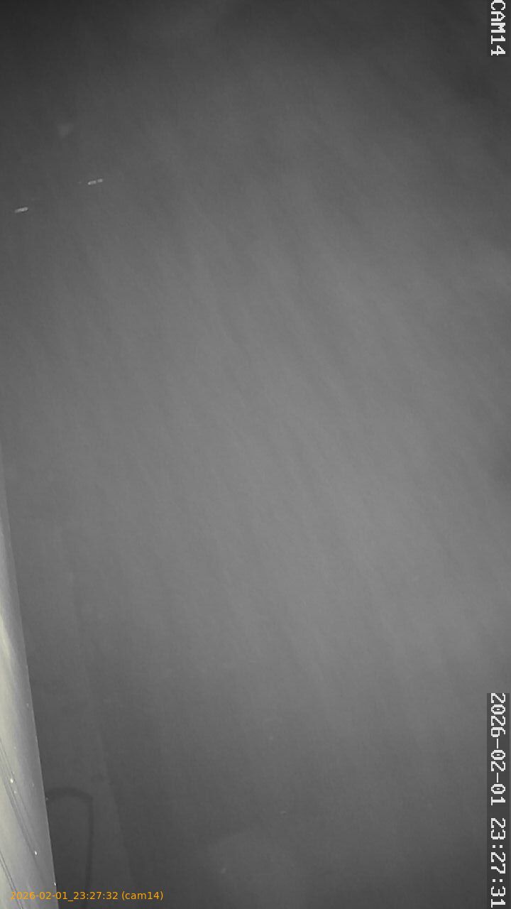 thumbnail_20260201232732