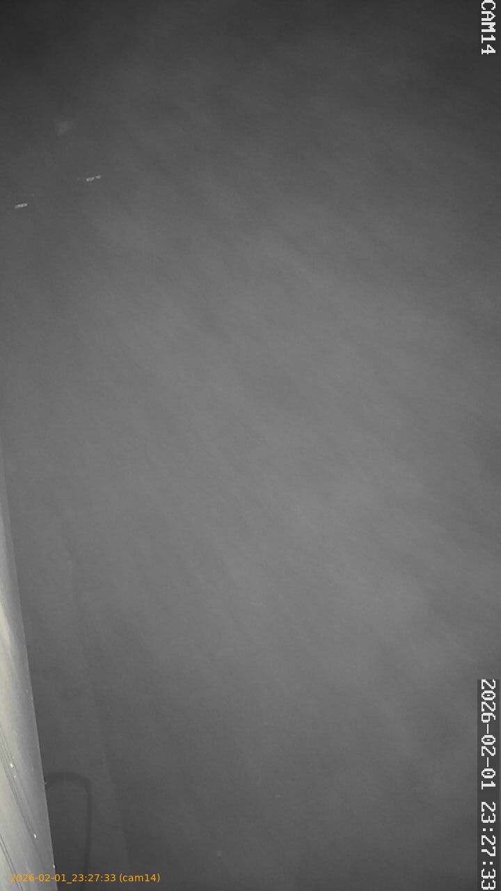 thumbnail_20260201232733