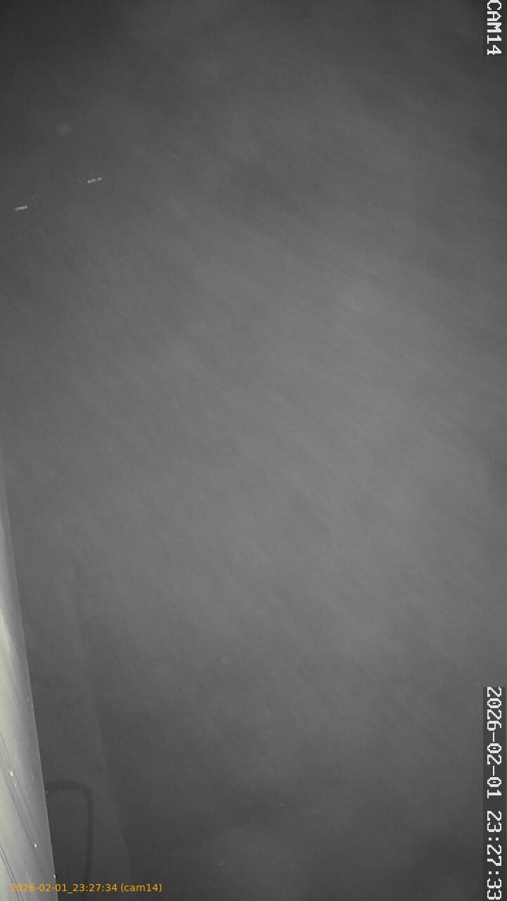 thumbnail_20260201232734