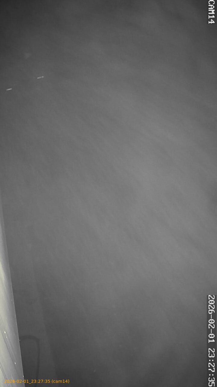 thumbnail_20260201232735