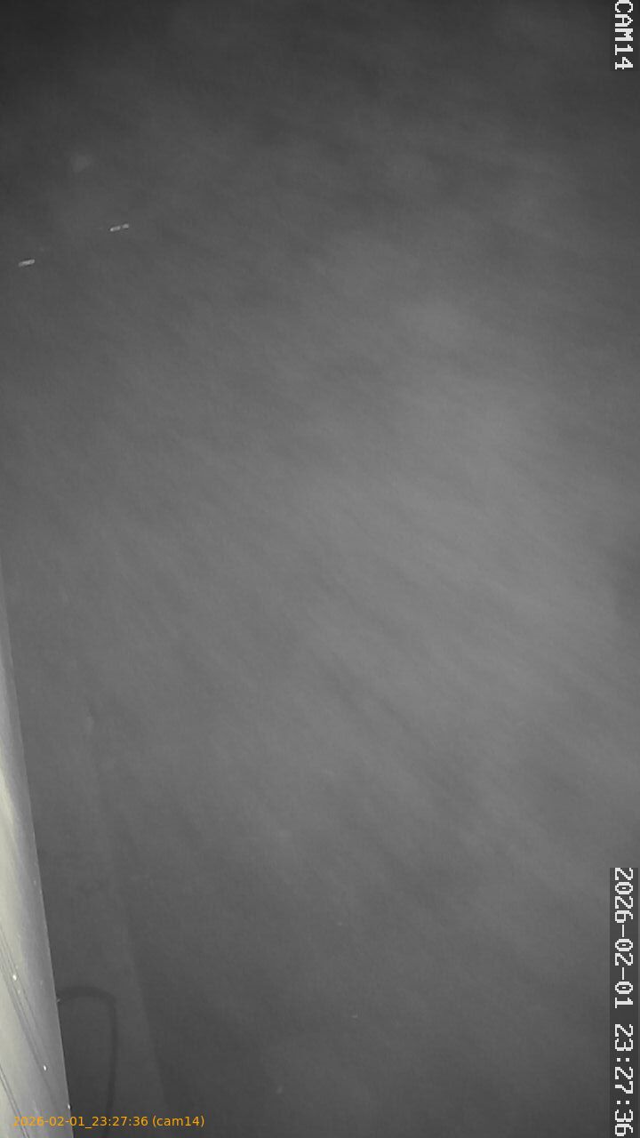 thumbnail_20260201232736