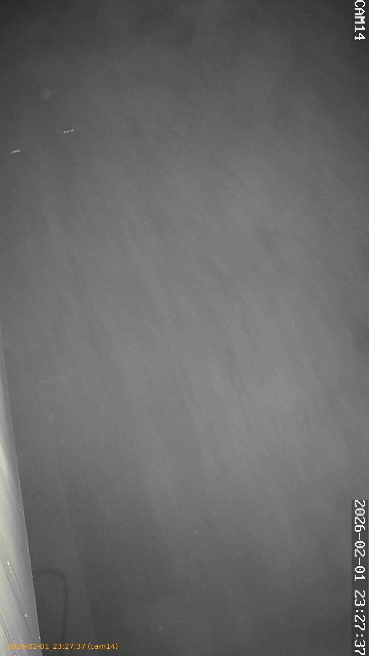 thumbnail_20260201232737