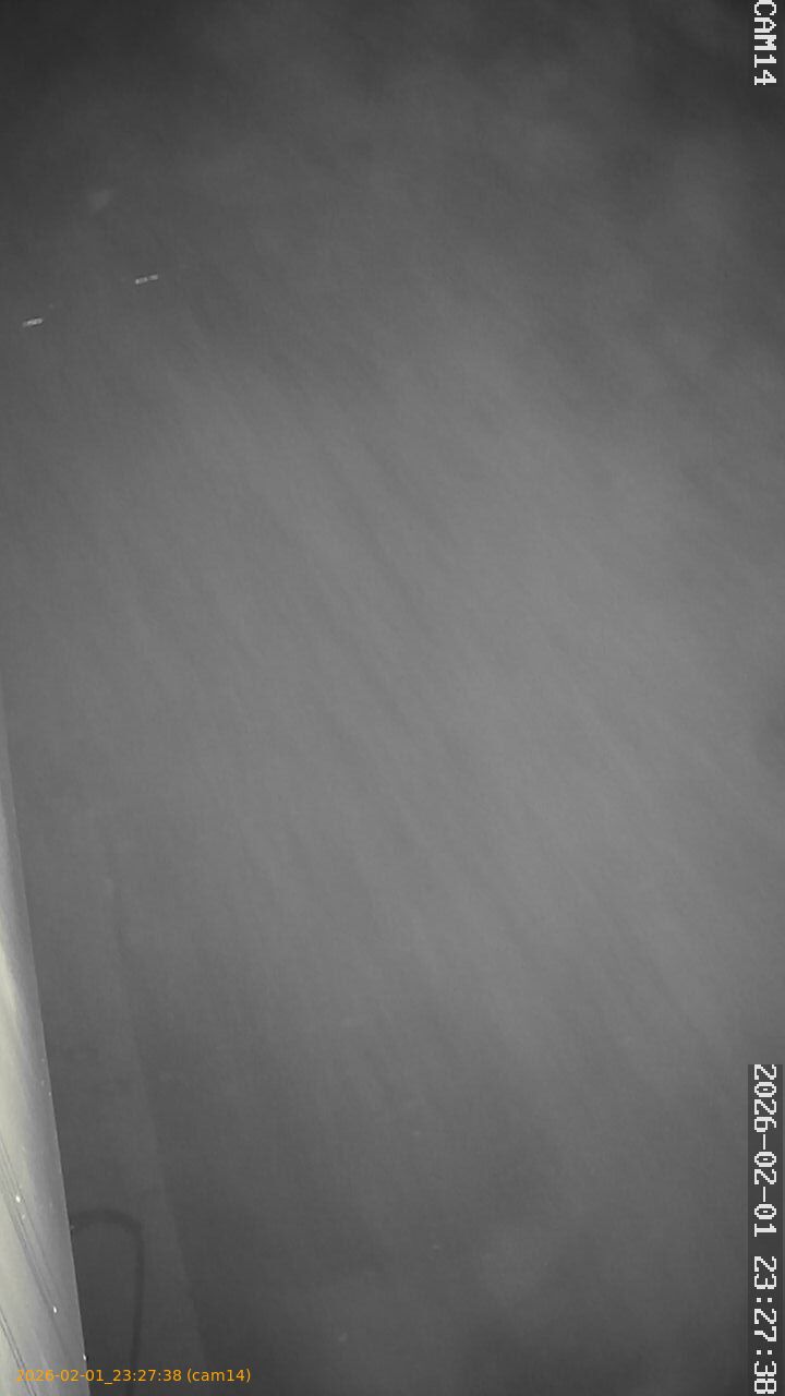 thumbnail_20260201232738