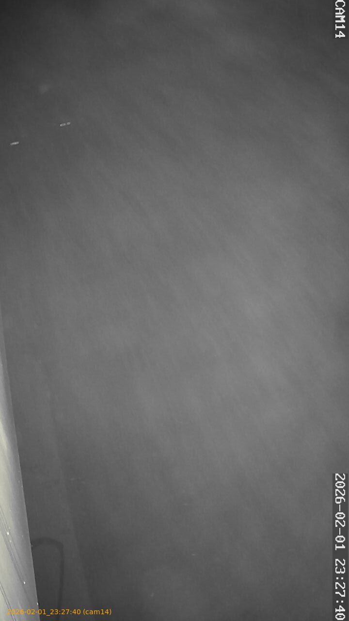 thumbnail_20260201232740