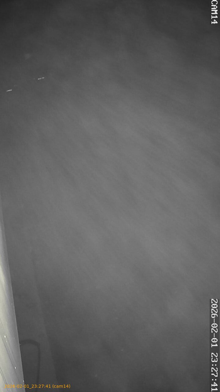 thumbnail_20260201232741