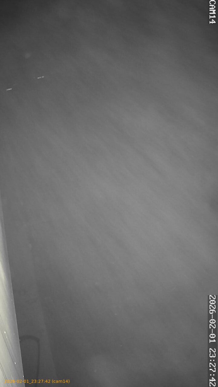 thumbnail_20260201232742