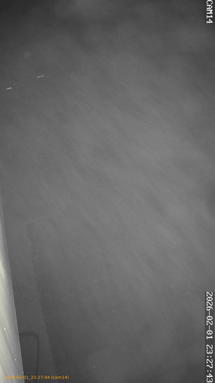 thumbnail_20260201232744