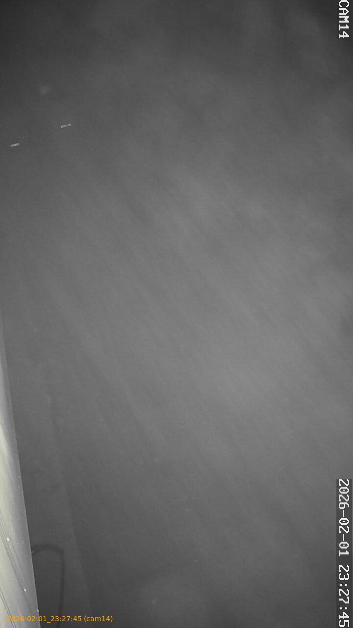 thumbnail_20260201232745