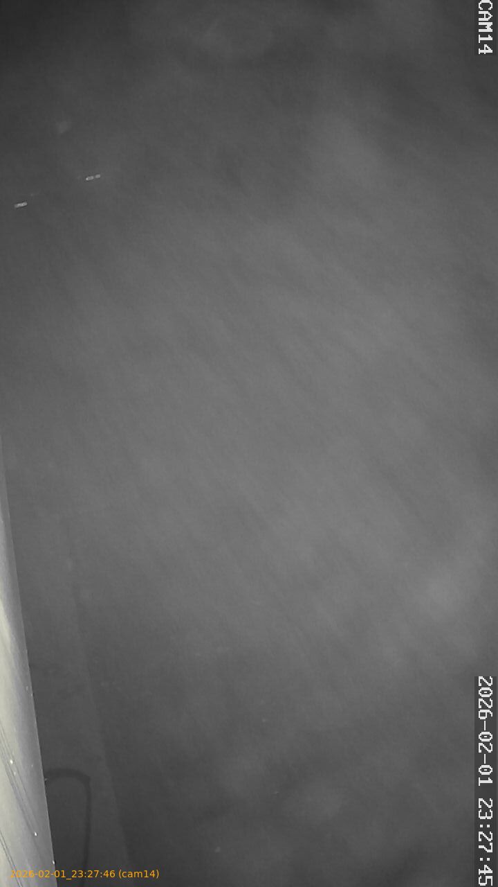 thumbnail_20260201232746