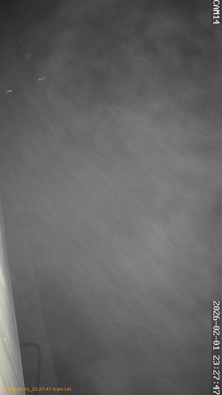 thumbnail_20260201232747