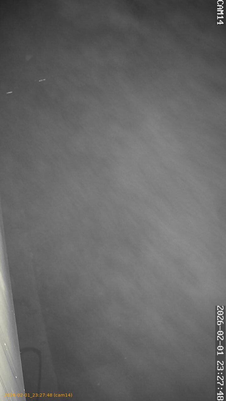 thumbnail_20260201232748