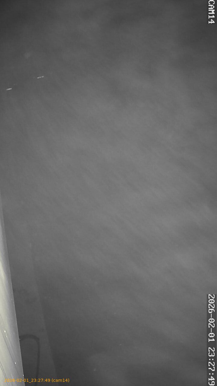 thumbnail_20260201232749