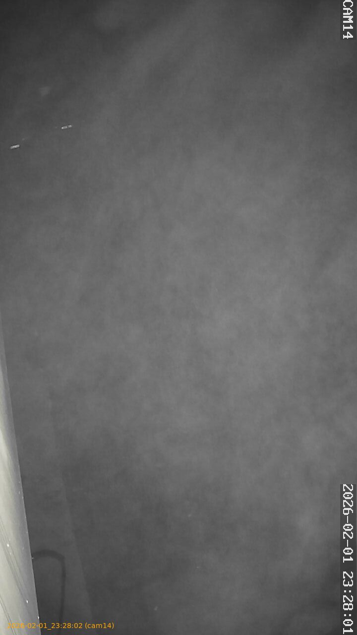 thumbnail_20260201232802