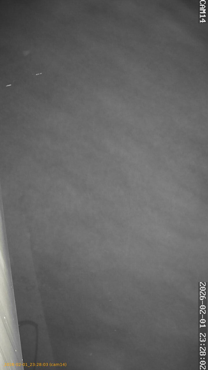 thumbnail_20260201232803