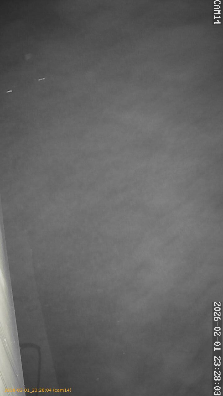 thumbnail_20260201232804