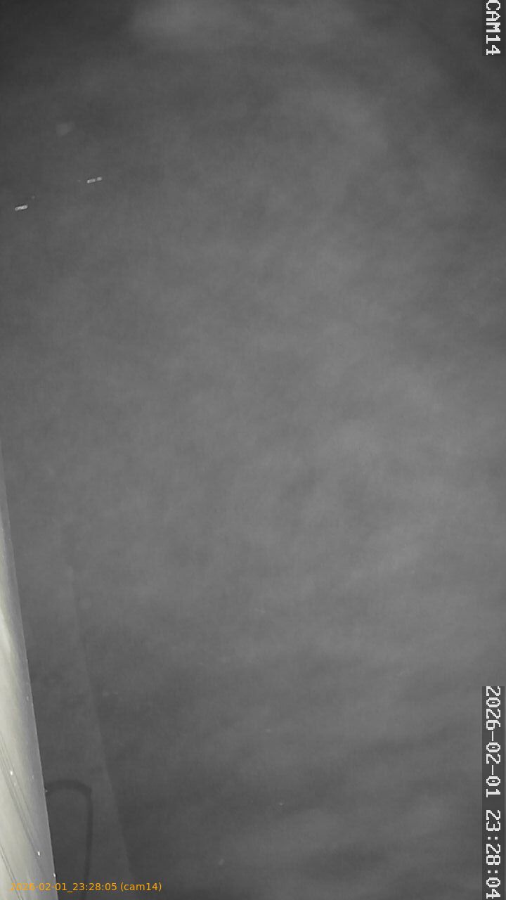 thumbnail_20260201232805