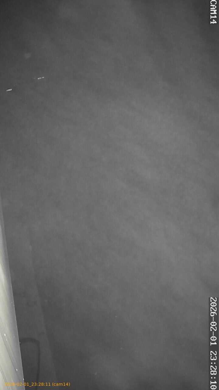 thumbnail_20260201232811