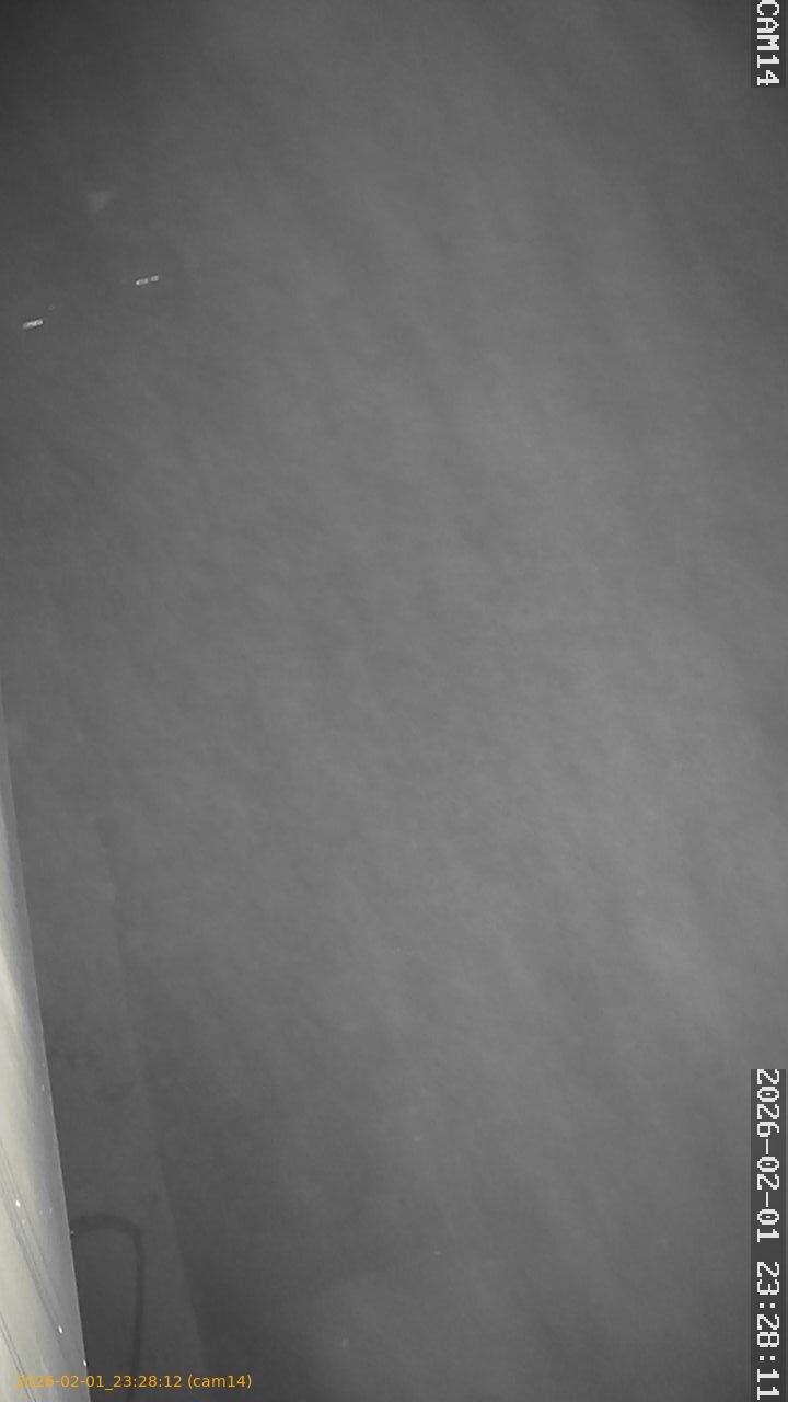 thumbnail_20260201232812