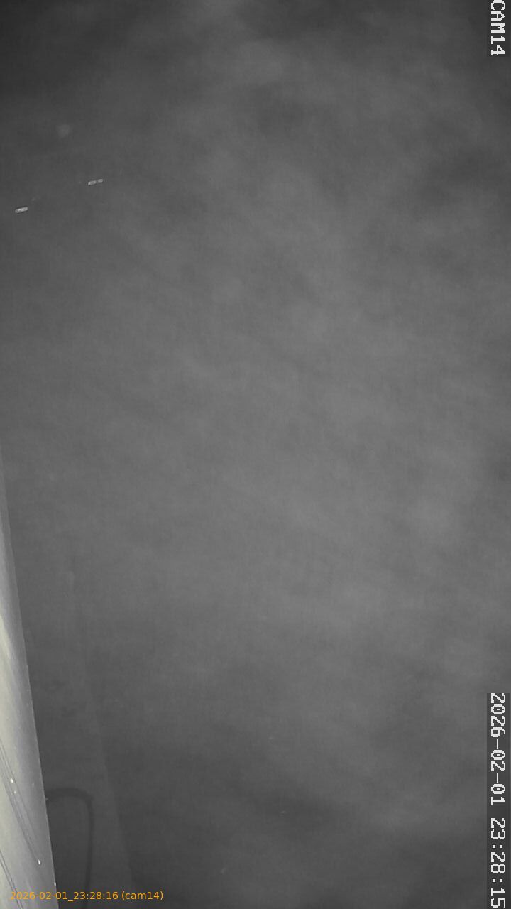 thumbnail_20260201232816