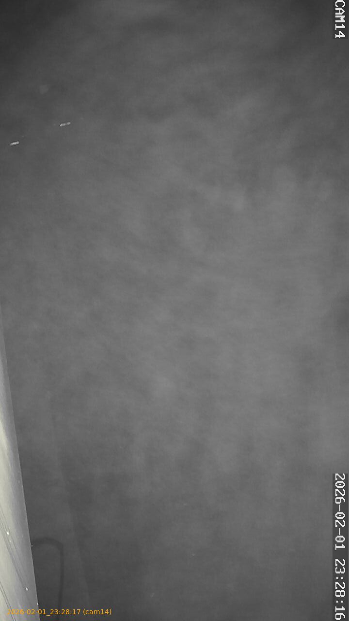 thumbnail_20260201232817