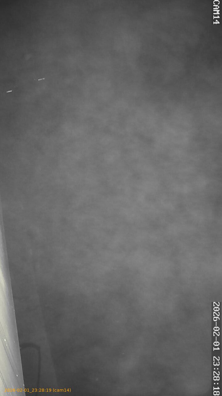 thumbnail_20260201232819