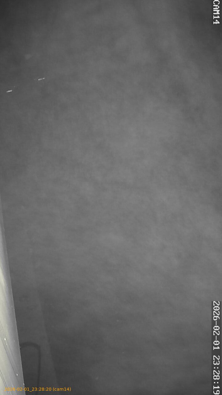 thumbnail_20260201232820