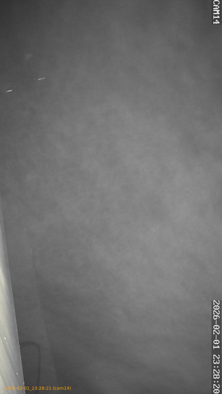 thumbnail_20260201232821