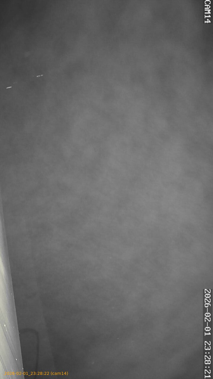 thumbnail_20260201232822