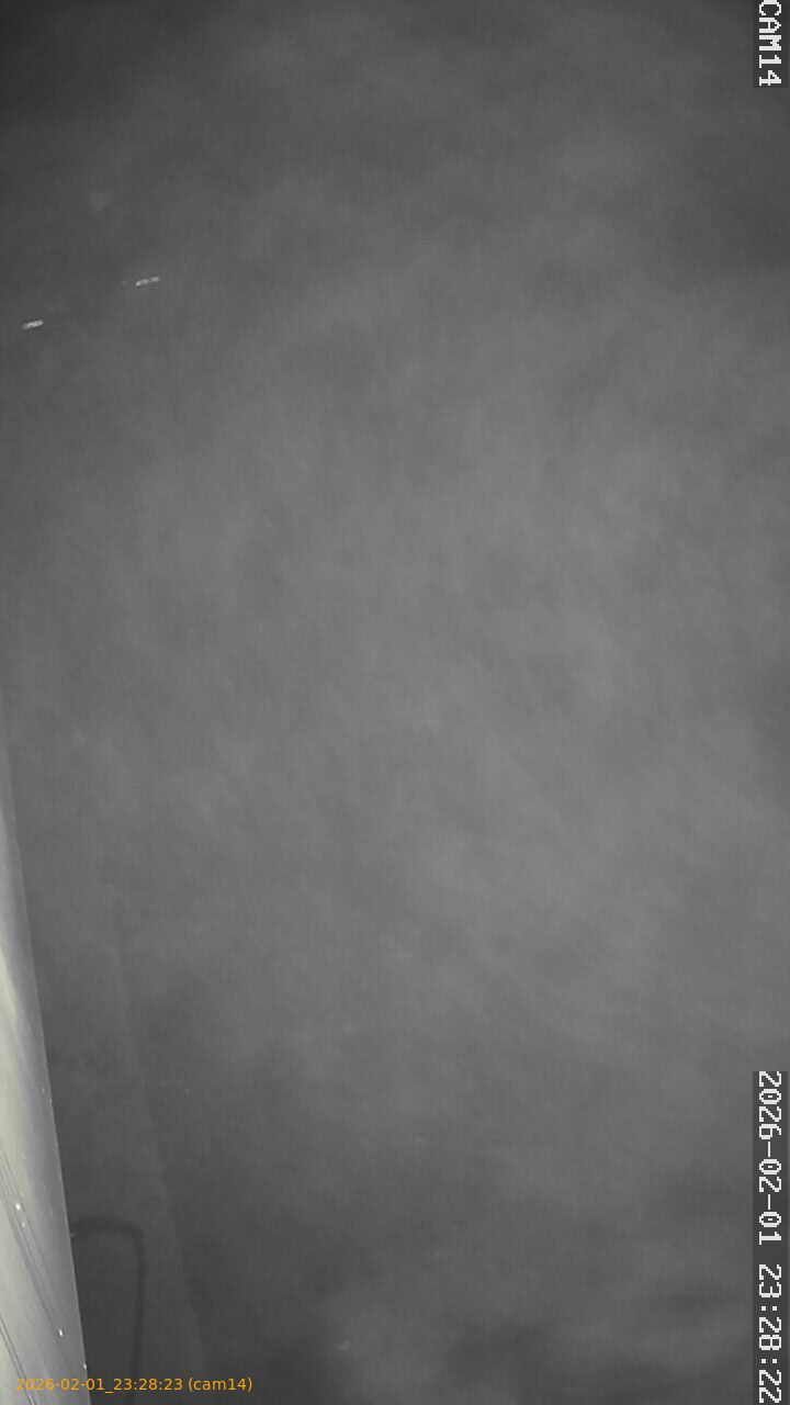 thumbnail_20260201232823