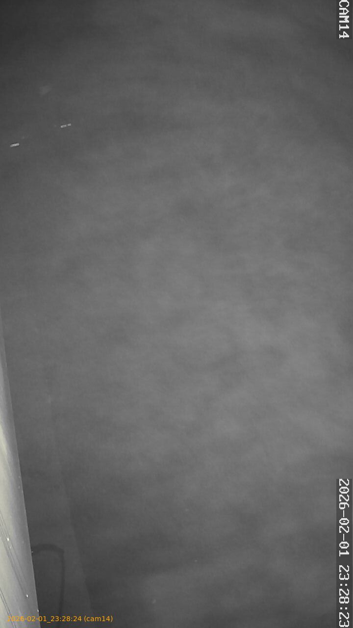 thumbnail_20260201232824