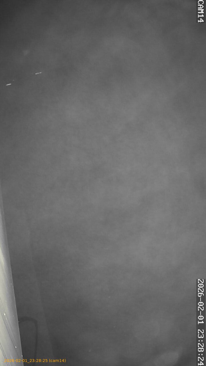 thumbnail_20260201232825