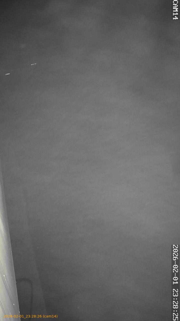 thumbnail_20260201232826