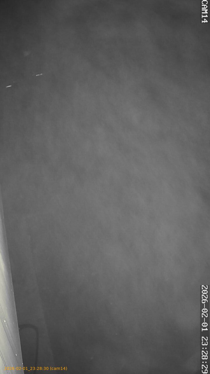 thumbnail_20260201232830