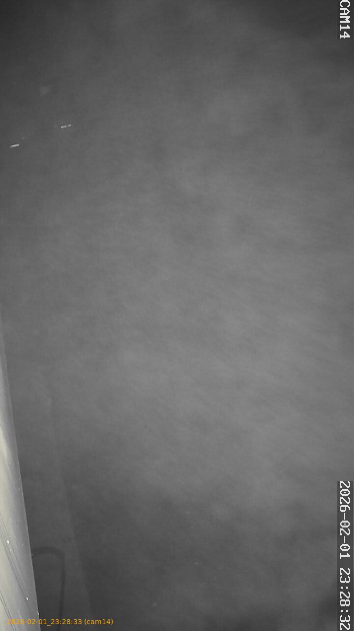 thumbnail_20260201232833