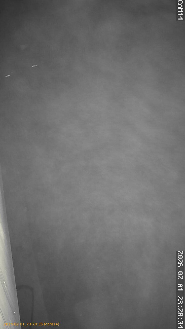 thumbnail_20260201232835