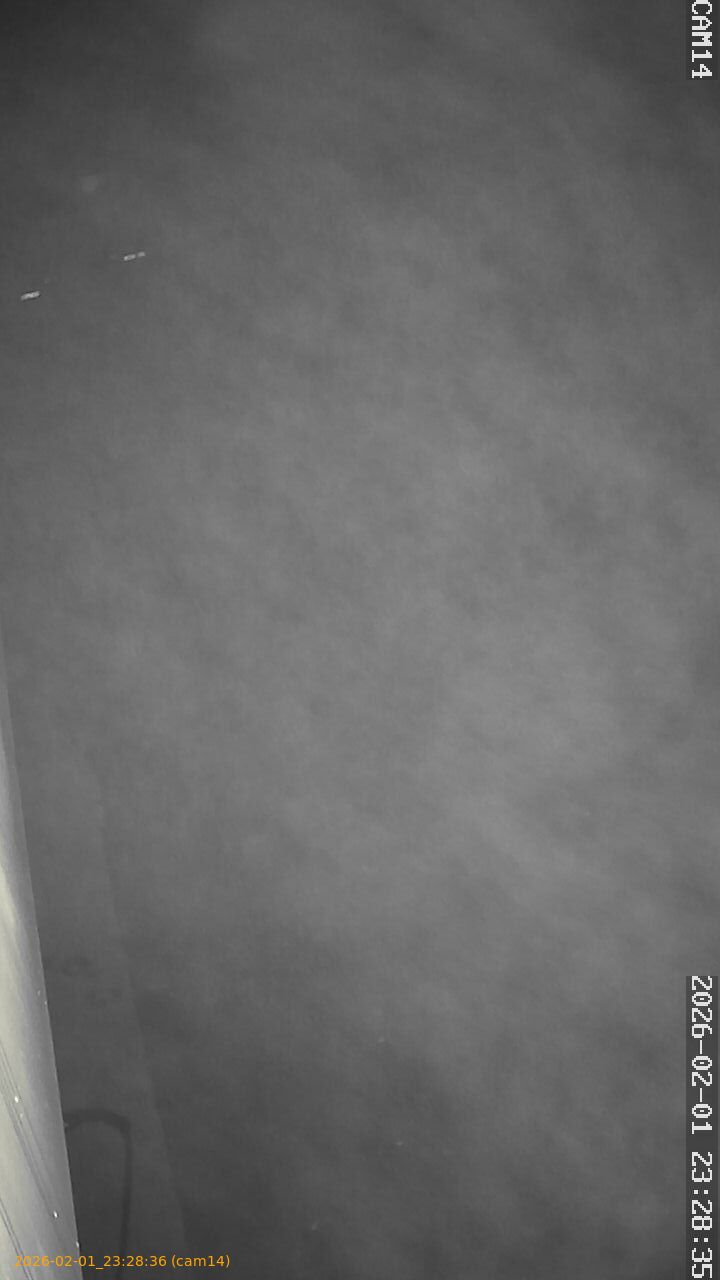 thumbnail_20260201232836