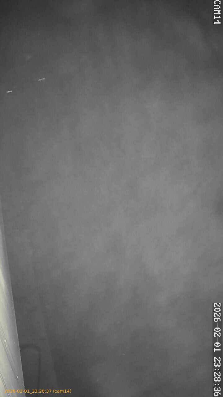 thumbnail_20260201232837