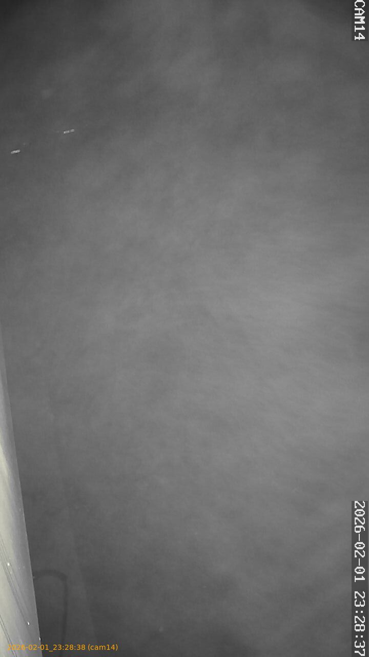 thumbnail_20260201232838