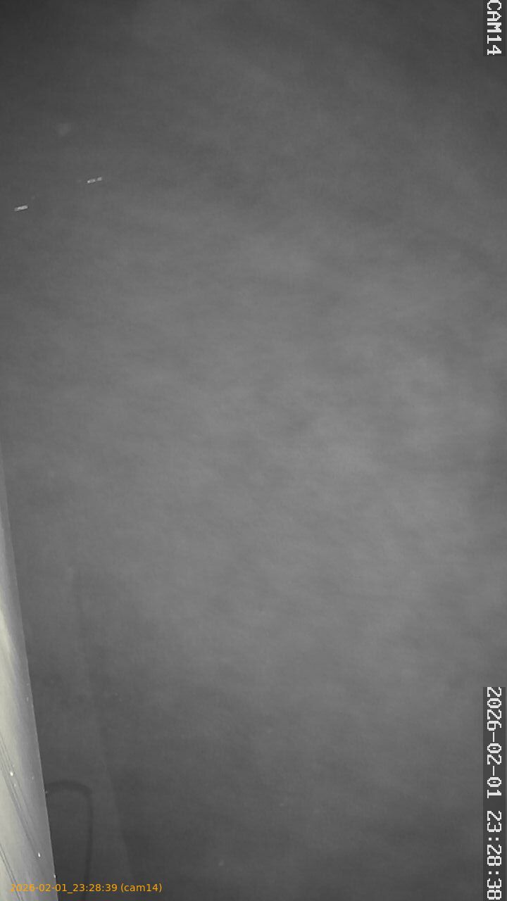 thumbnail_20260201232839