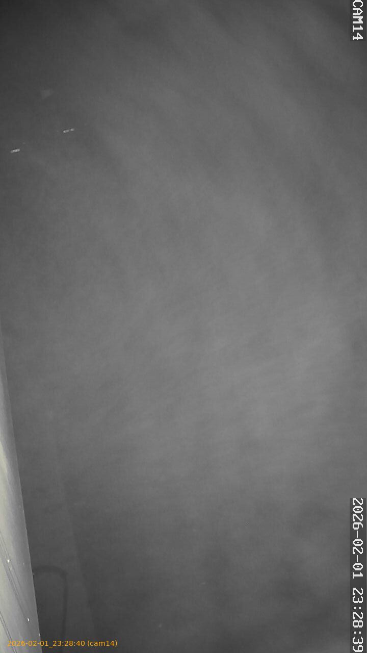 thumbnail_20260201232840