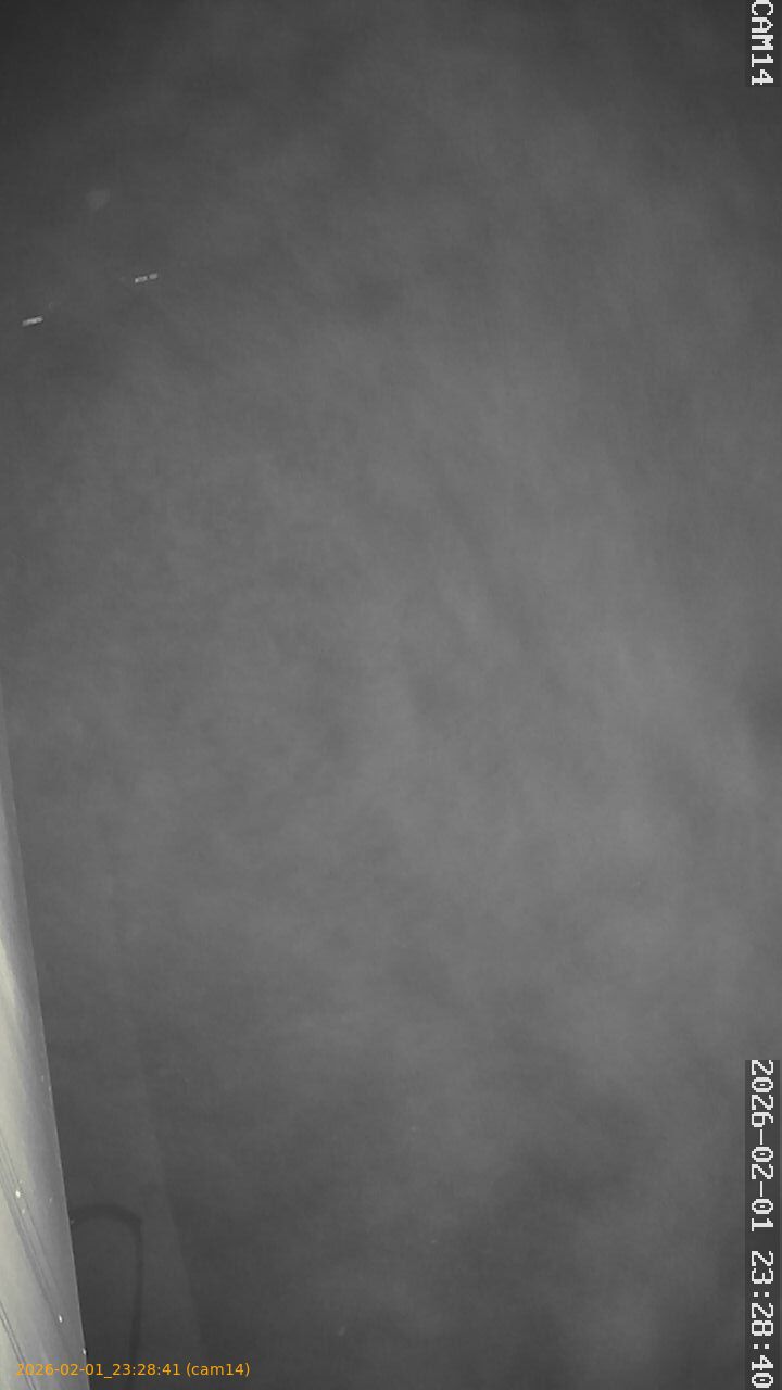 thumbnail_20260201232841