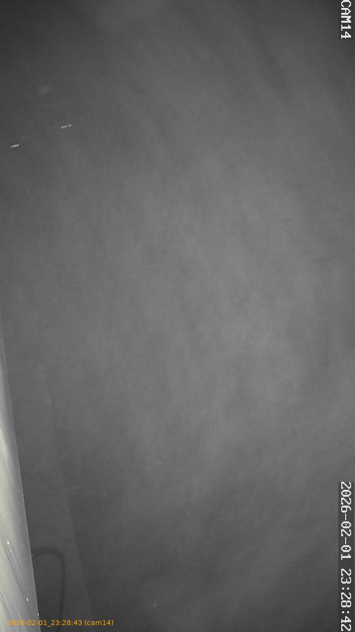 thumbnail_20260201232843