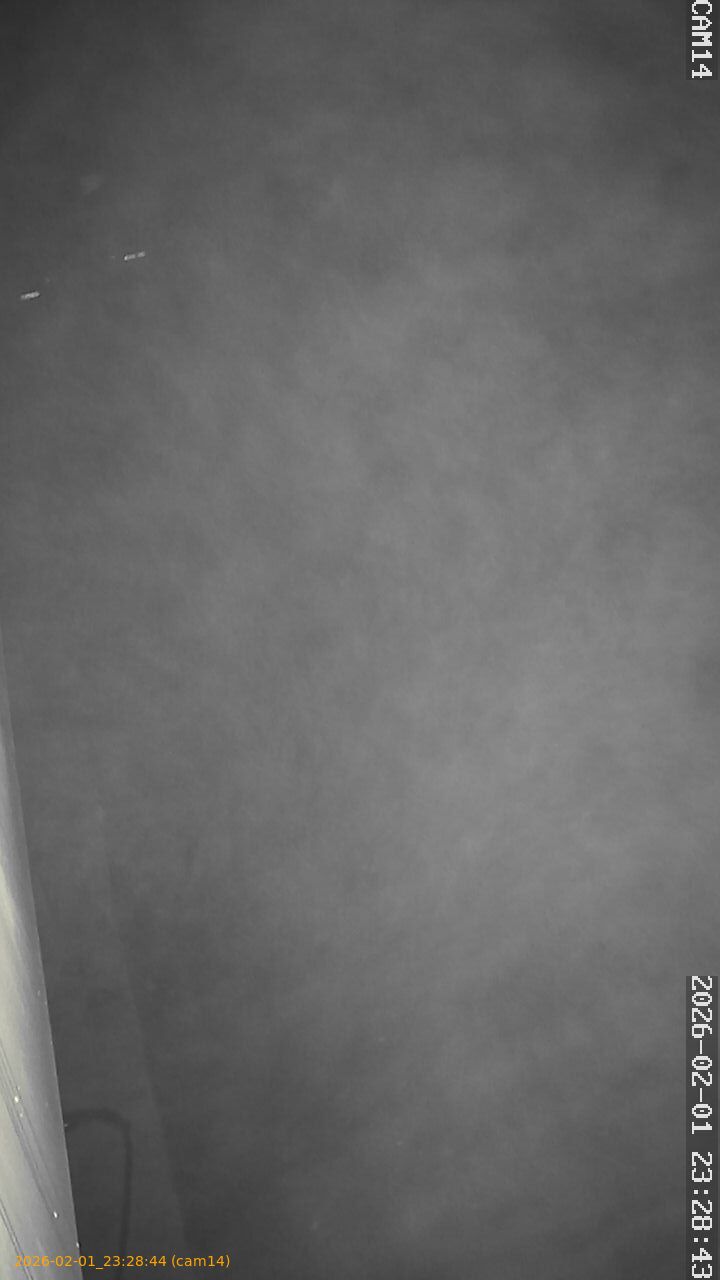 thumbnail_20260201232844