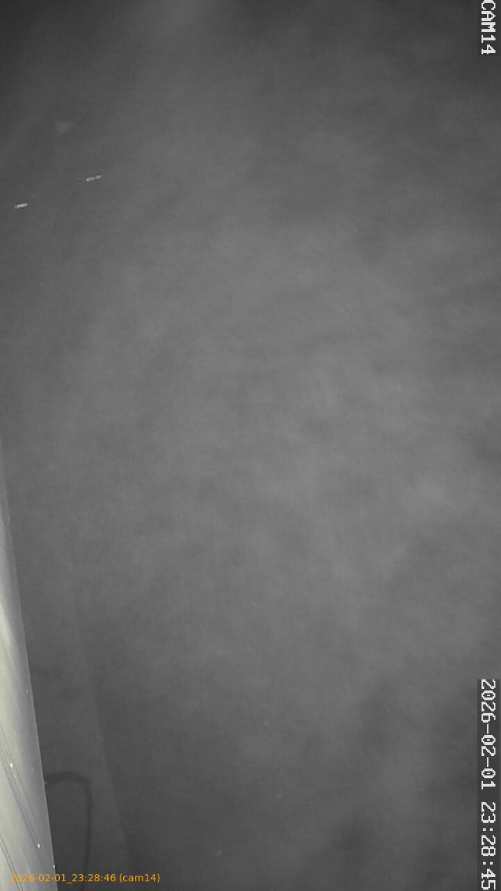 thumbnail_20260201232846