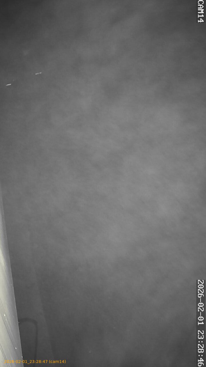 thumbnail_20260201232847